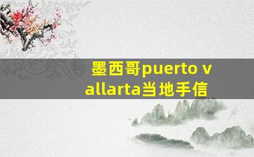 墨西哥puerto vallarta当地手信